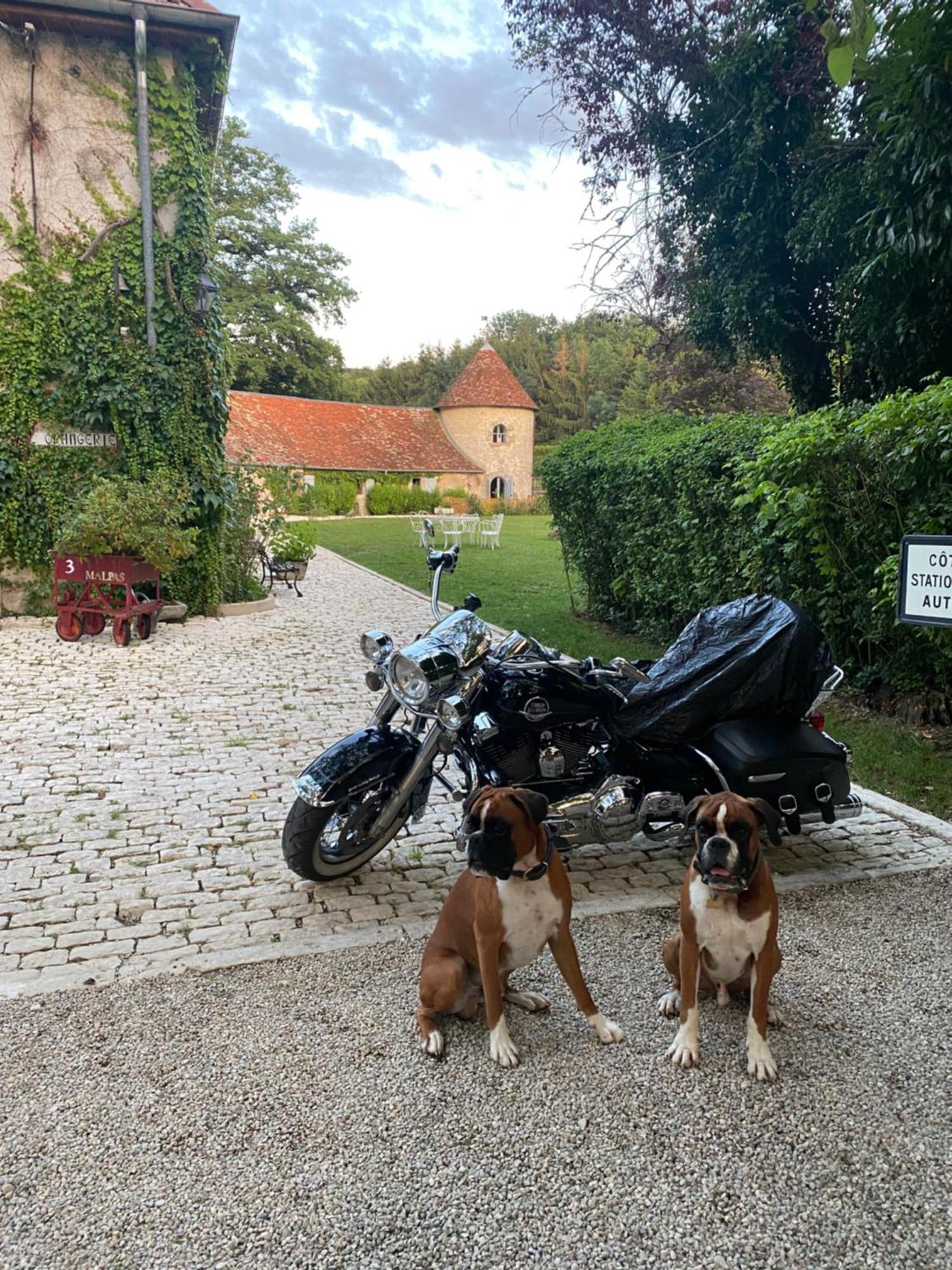 Bed and Breakfast La Roulotte Deluxe De Malpas Quingey Zewnętrze zdjęcie